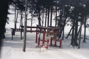 Torii in Snow