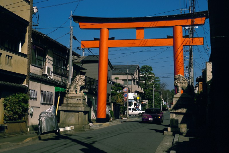 New Torii (Kyoto)