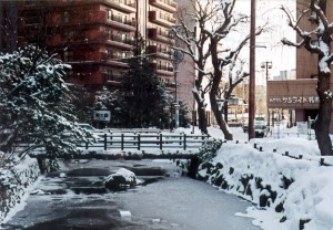 Sapporo Winter